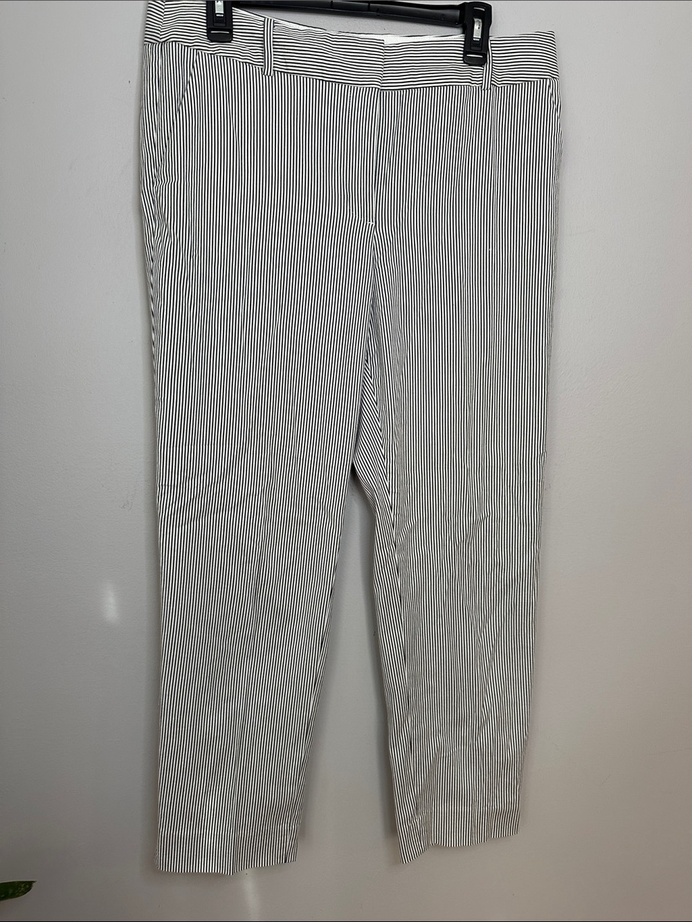 Talbots Black and White Pinstripe Hampshire ankle Pants size 12